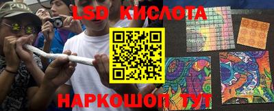 дурь Сланцы