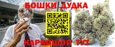 дурь Славгород