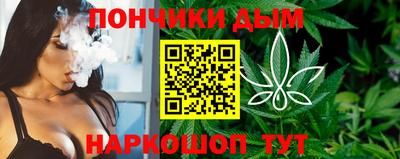 дурь Сланцы