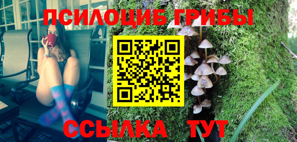 Псилоцибиновые грибы Cubensis Рыбинск